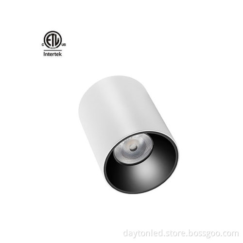 Daytonled Master D IP65 Series Commercial LED Downlights - 15W to 90W